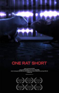 One Rat Short